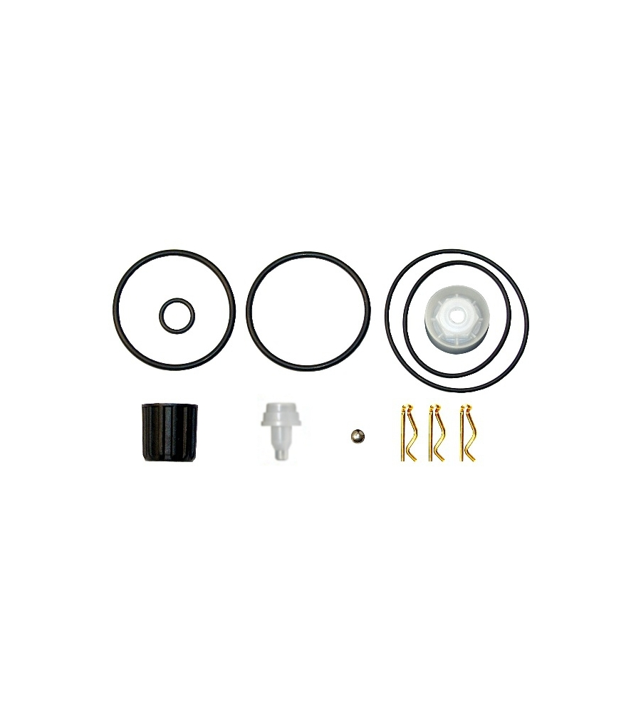 KIT DI RICAMBI PER POMPE A ZAINO MODELLO "ROSY".